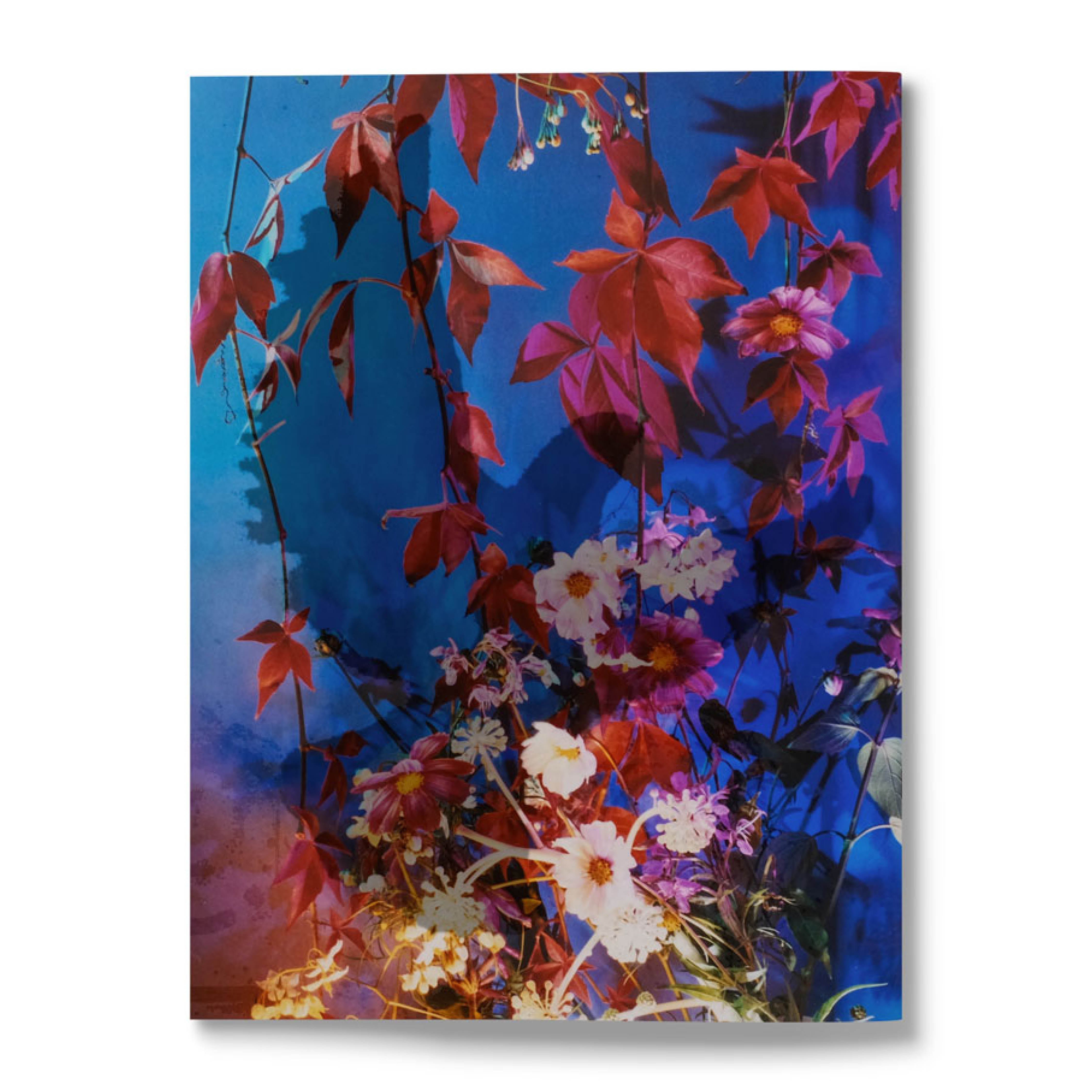 THE PEOPLE DESERVE BEAUTY BOOK