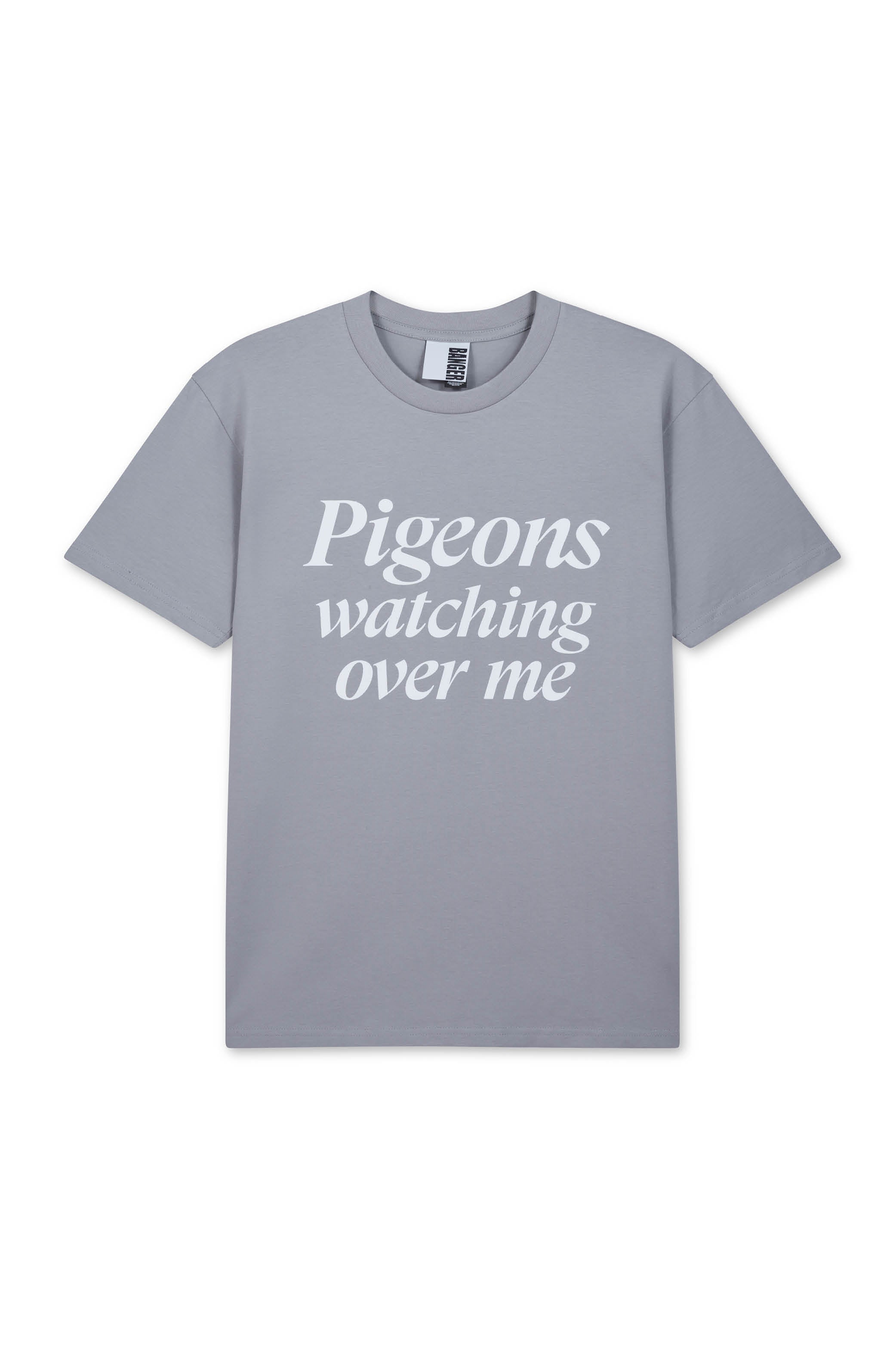 PIGEONS WATCHING T-SHIRT GREY