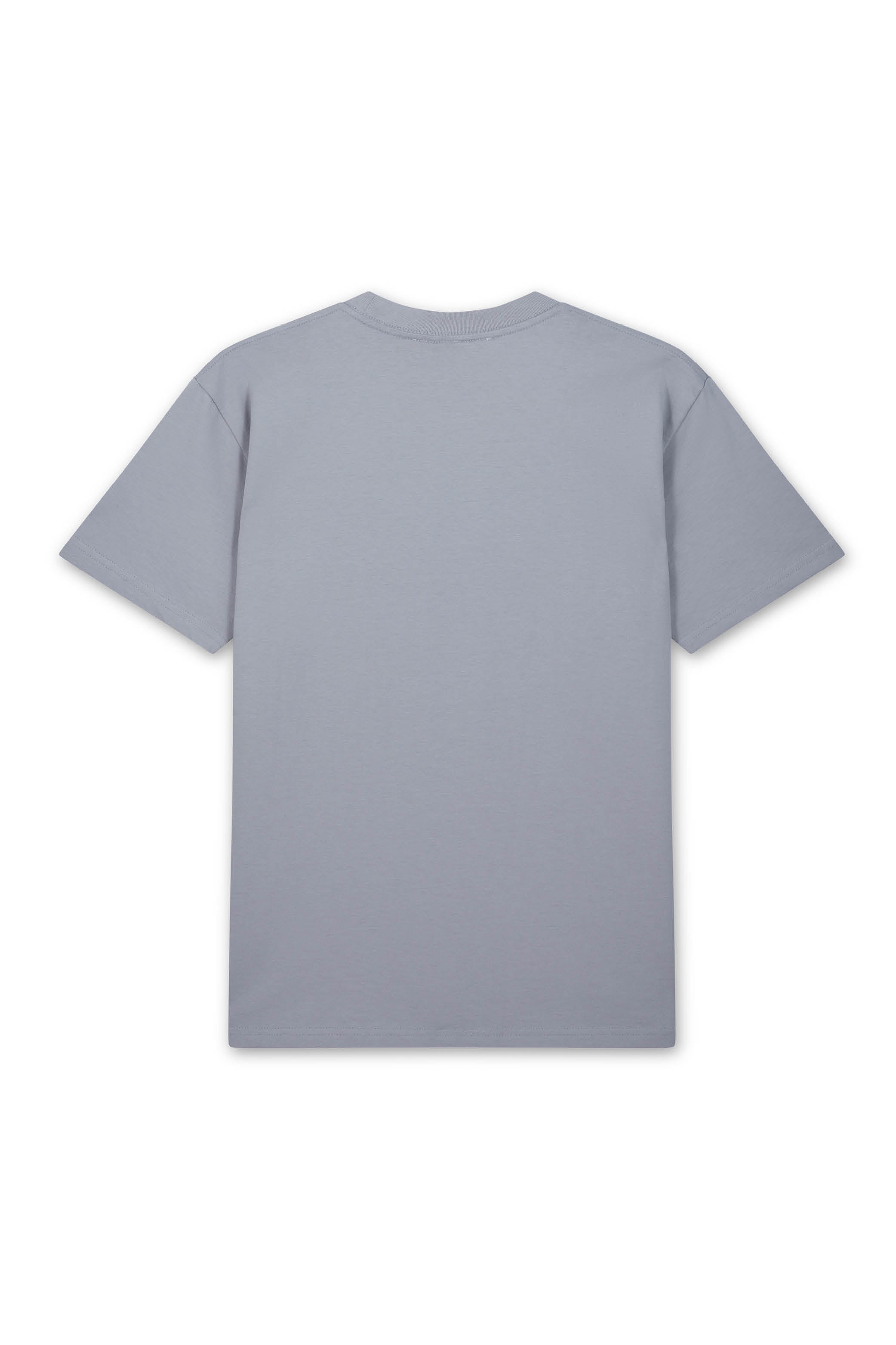 PIGEONS WATCHING T-SHIRT GREY