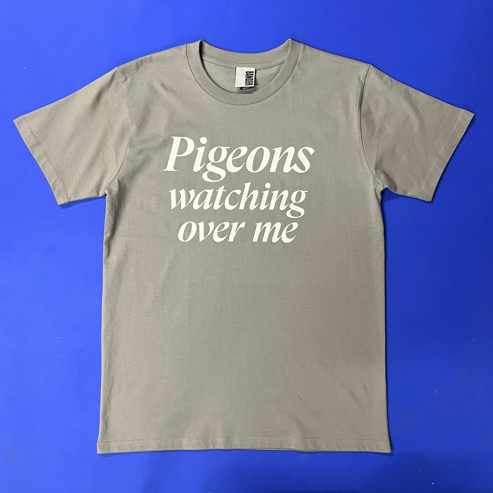 Easily Distracted By Pigeons Funny T-Shirt - XL Dark Heather, Bird Lover Gift, 100% Cotton Unisex Tee