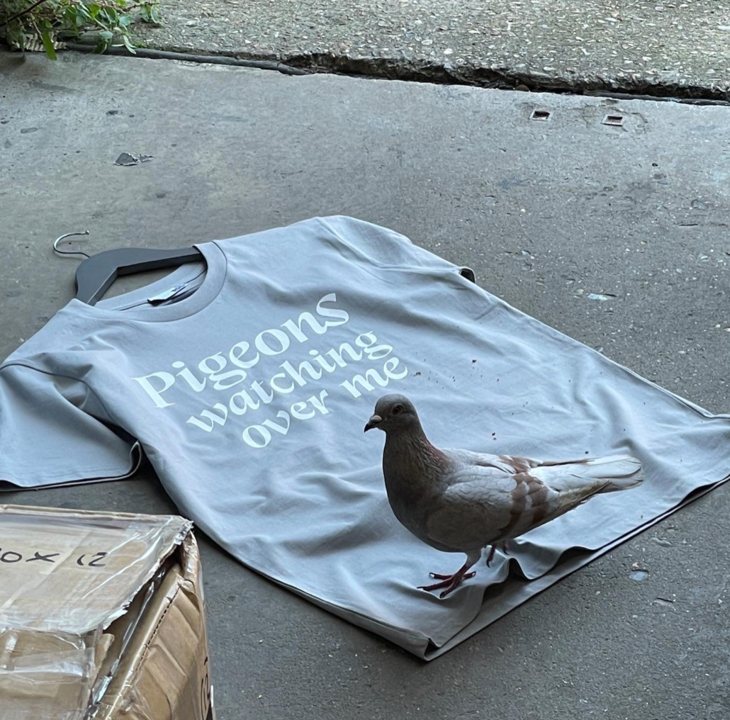 PIGEONS WATCHING T-SHIRT GREY
